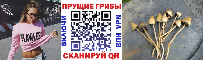 ОМГ ОМГ онион  Любань  Псилоцибиновые грибы ЛСД  где продают  